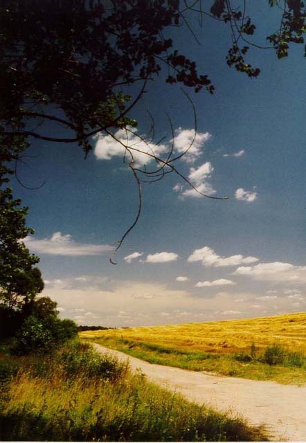 Feldweg bei Ebersbach / G�rlitz