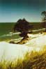 420 x 640