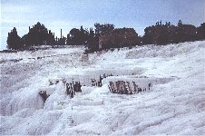 vom Austrocknen bedroht